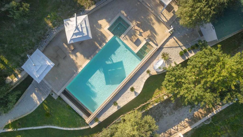 Tenuta Olive Alive