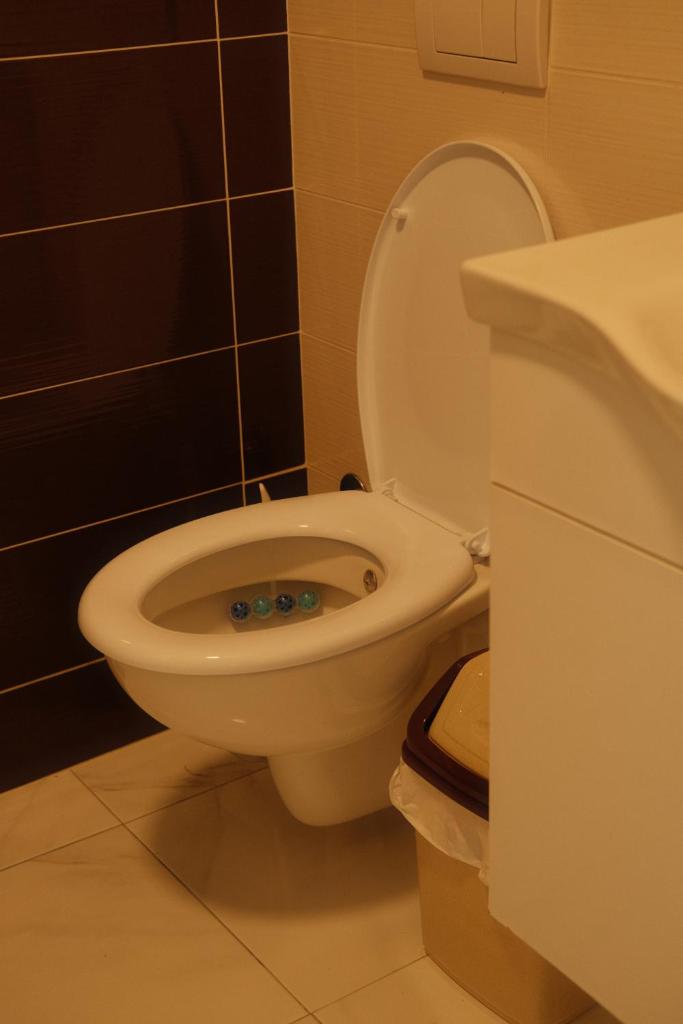 Green Apartment in Prishtina 7