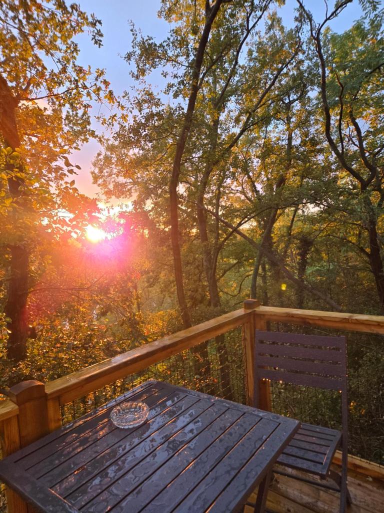 un banc en bois sur une terrasse avec le soleil dans les arbres dans l'établissement La bulle perchée de Chantilly, à Gouvieux