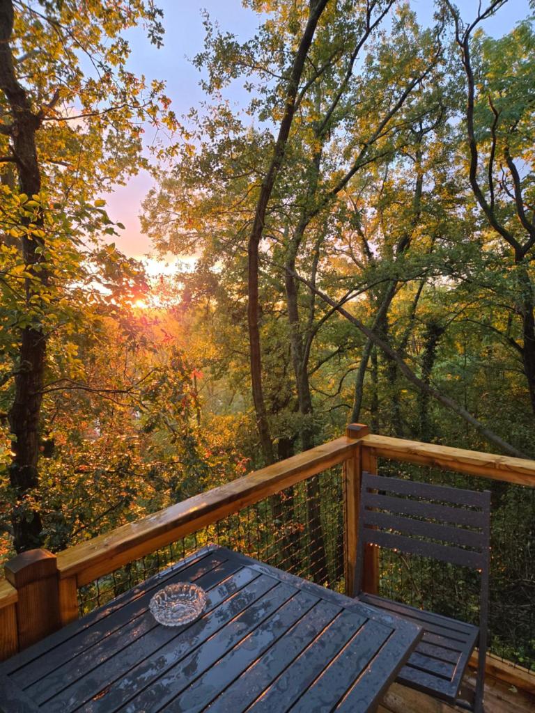 un banc en bois assis sur une terrasse en bois avec vue sur le coucher du soleil dans l'établissement La bulle perchée de Chantilly, à Gouvieux