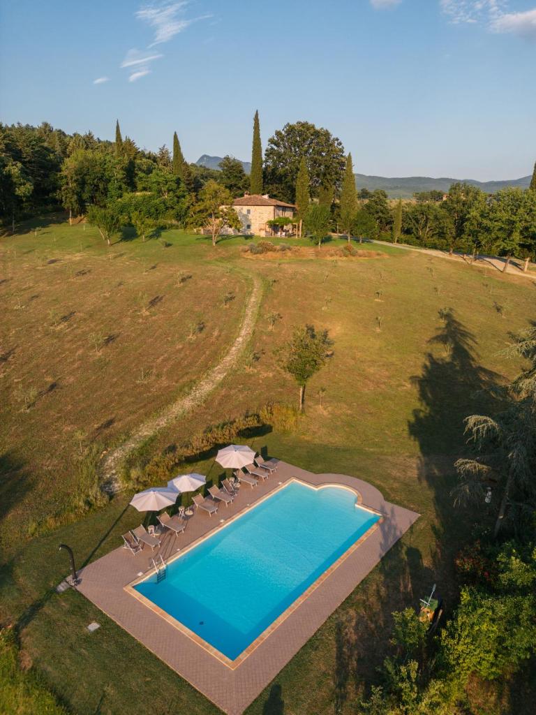 - une vue sur la piscine dans un champ dans l'établissement Villa Casale Chiesina, à Bibbiena