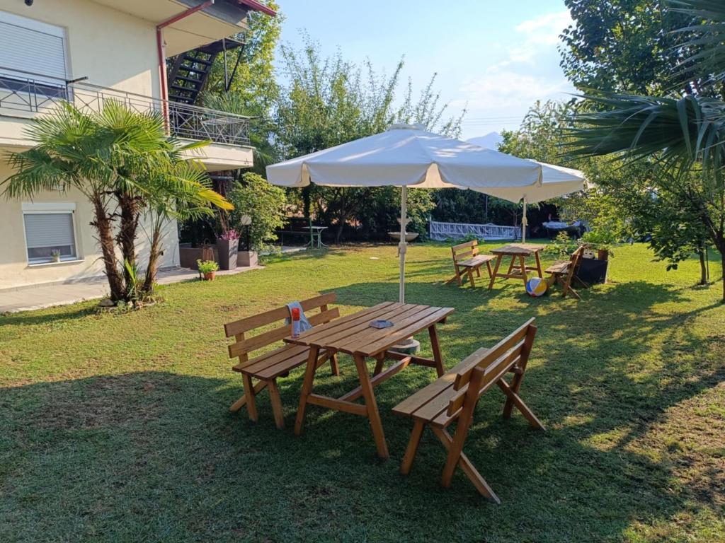 Dimis apartments 6