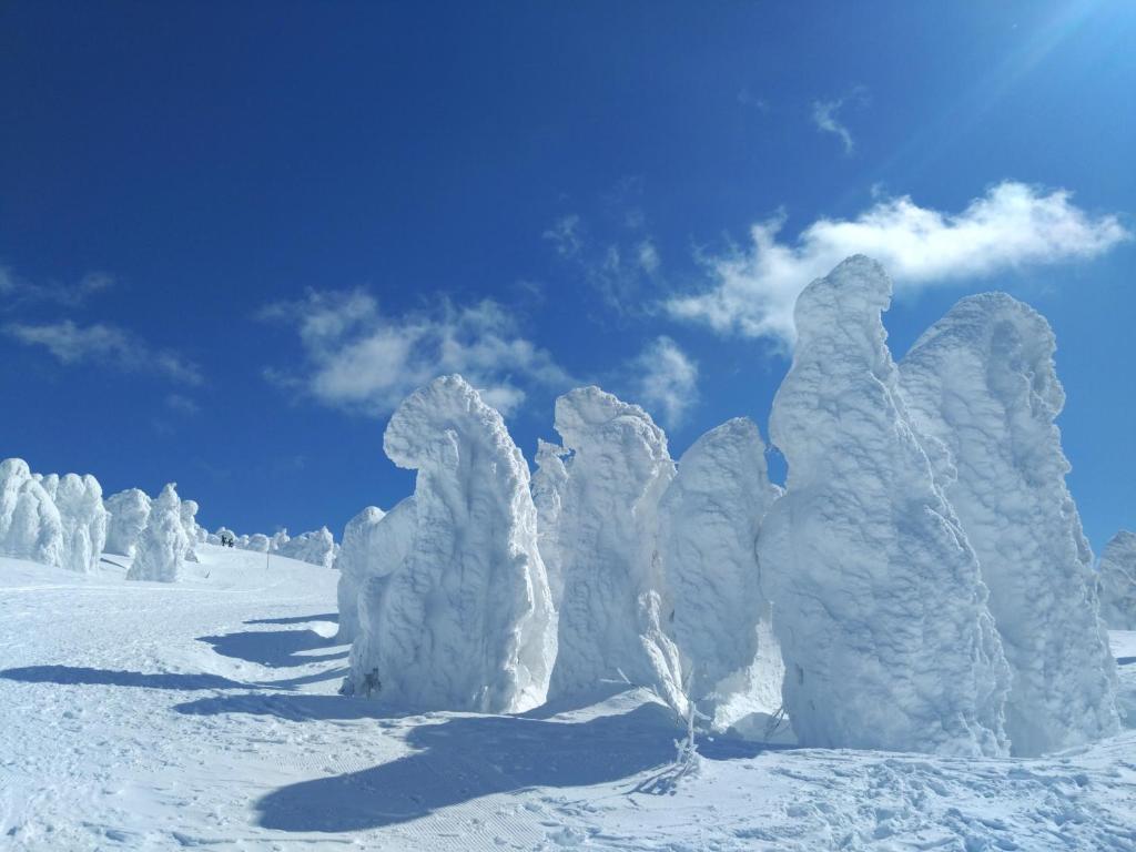 un groupe d'arbres couverts de neige dans la neige dans l'établissement 蔵王温泉 林檎屋, à Yamagata