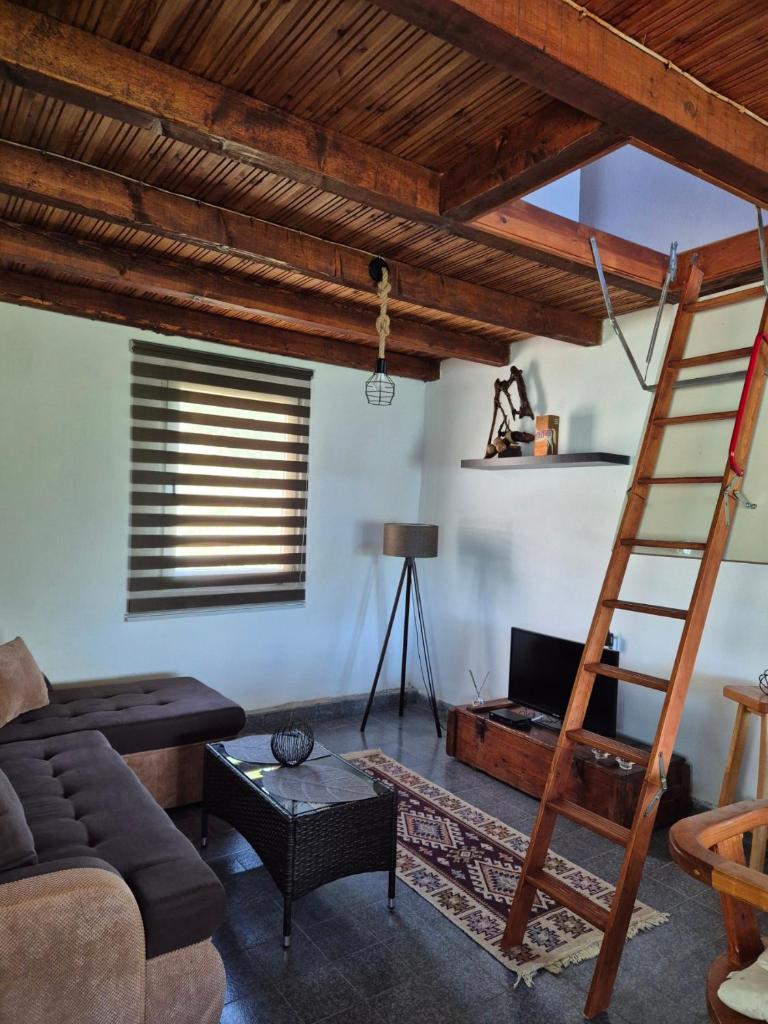 Old Fisherman House, Skadar lake 5