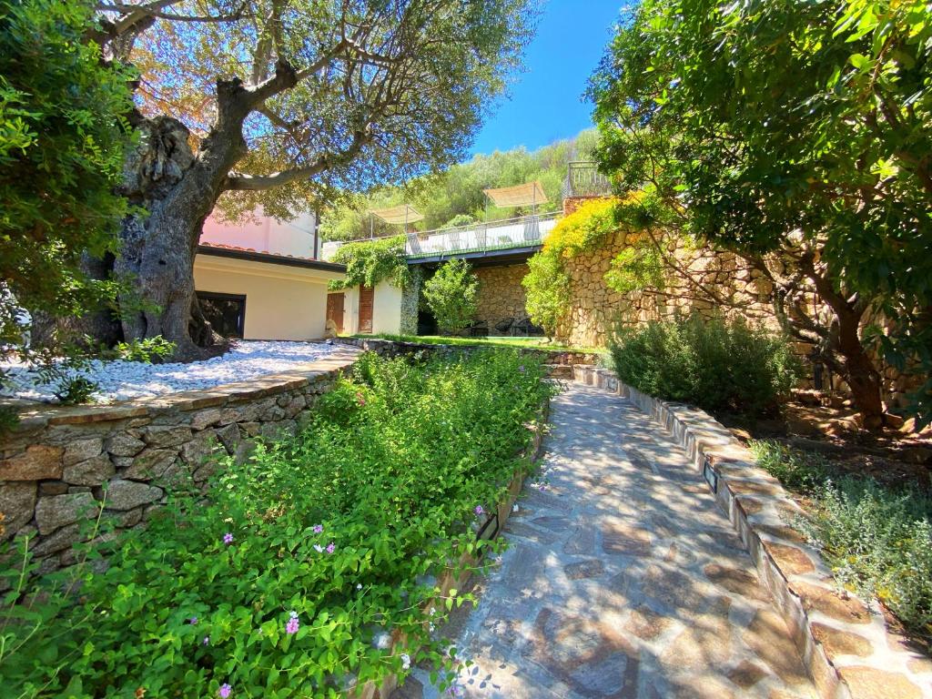 un jardin avec un chemin en pierre, des arbres et un bâtiment dans l'établissement Villa Mariposa exclusive private pool, à Budoni