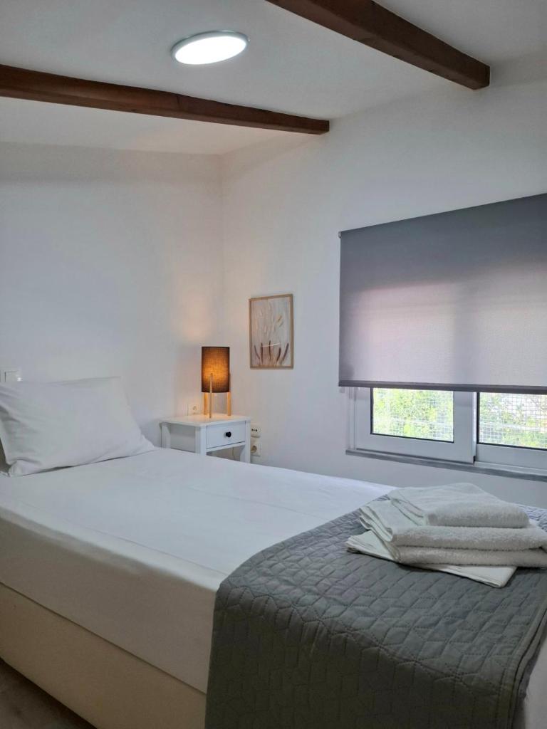 Alexandra's Sea Front Villa 2