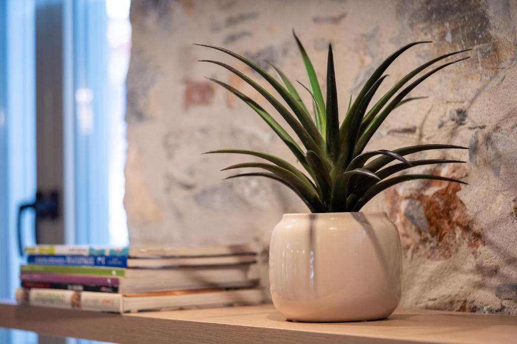 Nest in the City Residence Home to Home MGMT 3