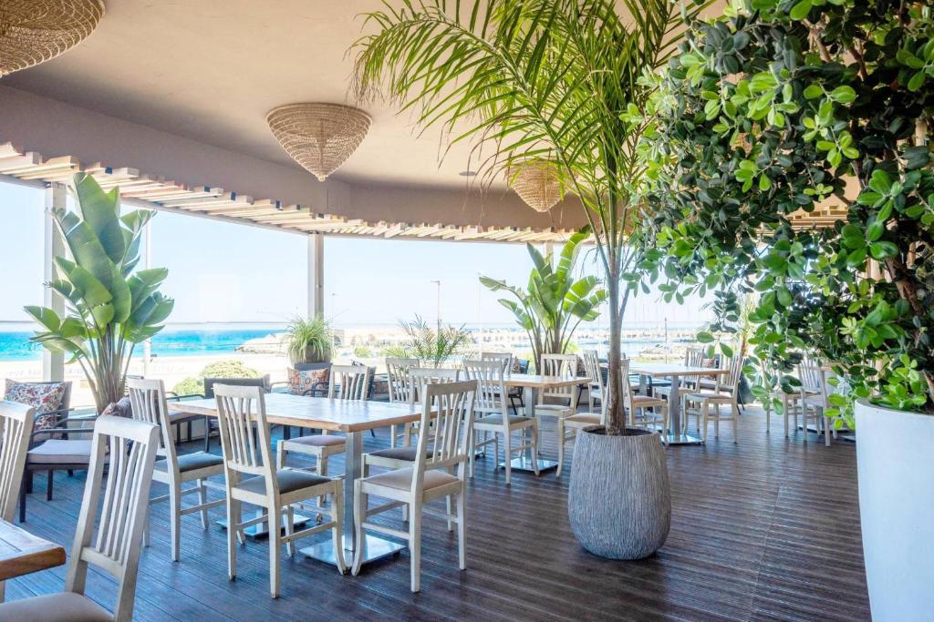un restaurant avec des chaises et des tables blanches et des plantes dans l'établissement Hotel Da Romano, à San Foca