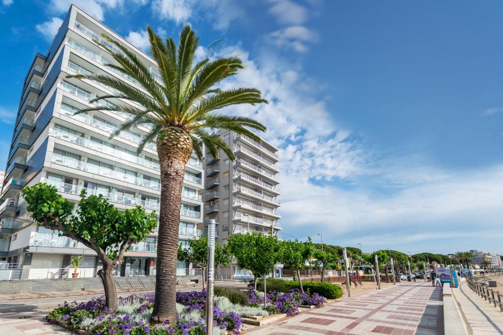 Pierre & Vacances Blanes Playa 6