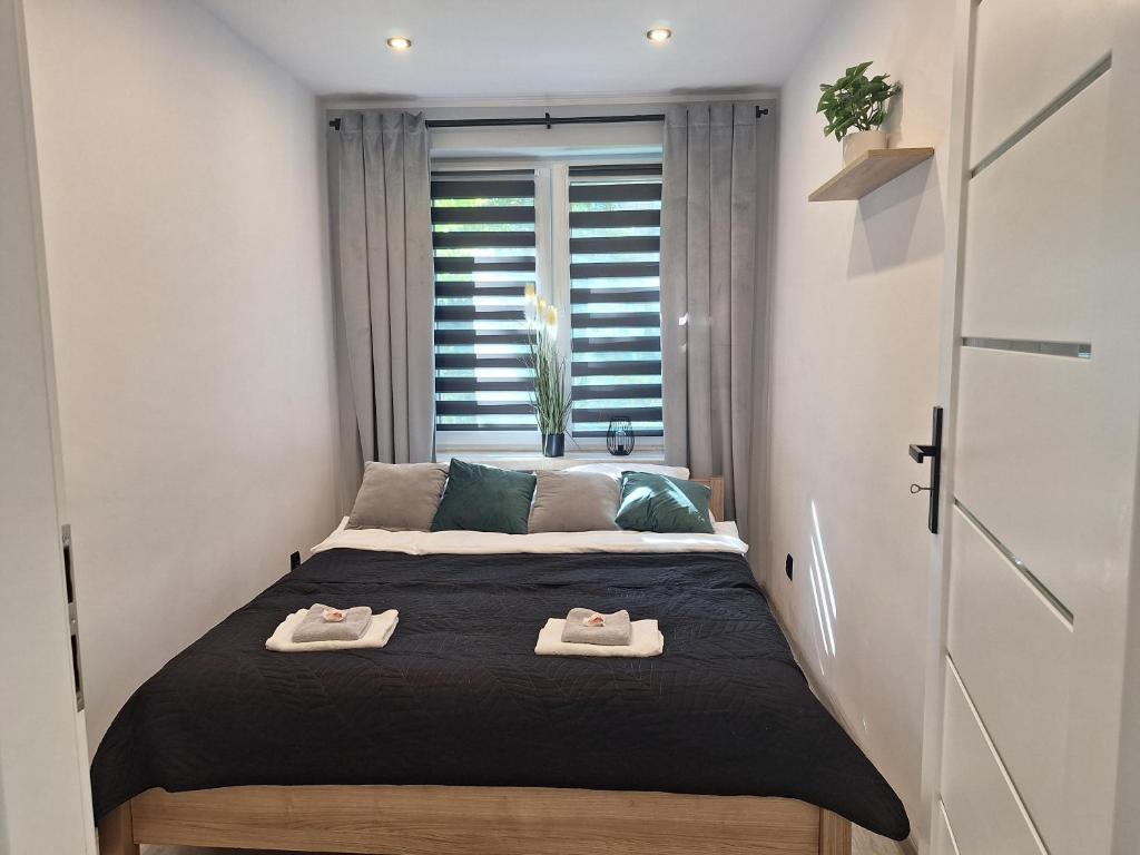 Apartament z jacuzzi w centrum Katowic 2