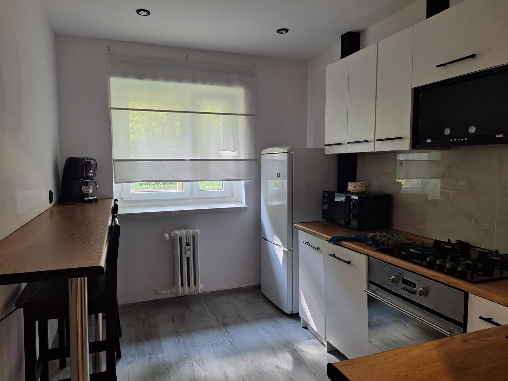 Apartament z jacuzzi w centrum Katowic 4