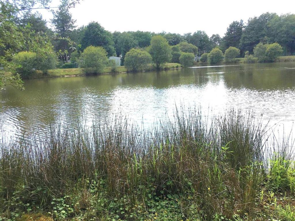 une masse d'eau avec de hautes herbes et des arbres dans l'établissement PUY DU FOU 5p 820FG, à La Boissière-de-Montaigu