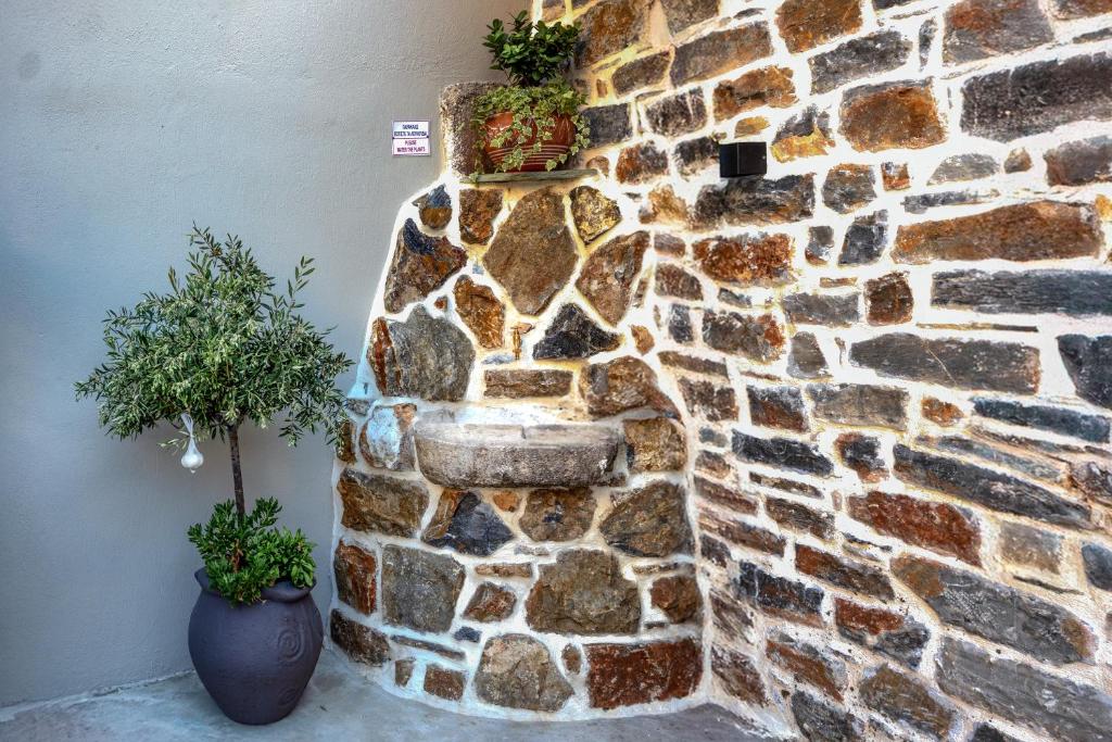 The Coastal Rock House 7