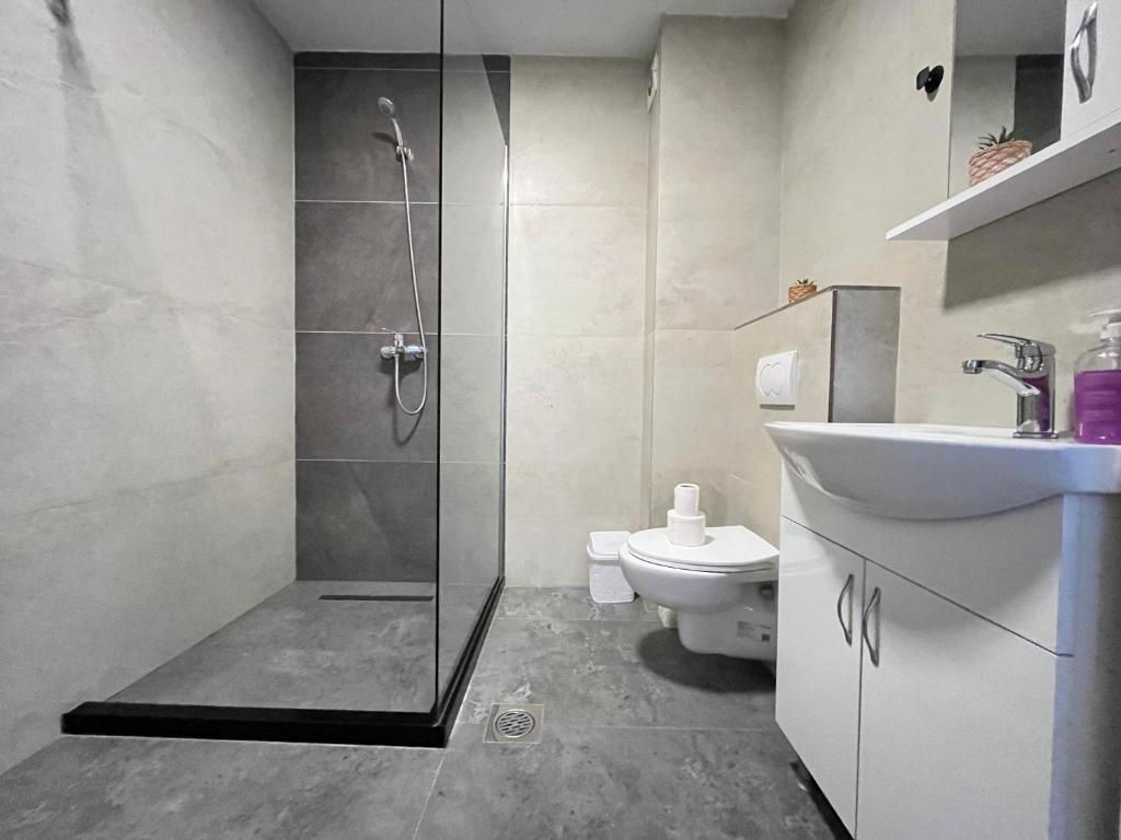 Modern Apartments 5