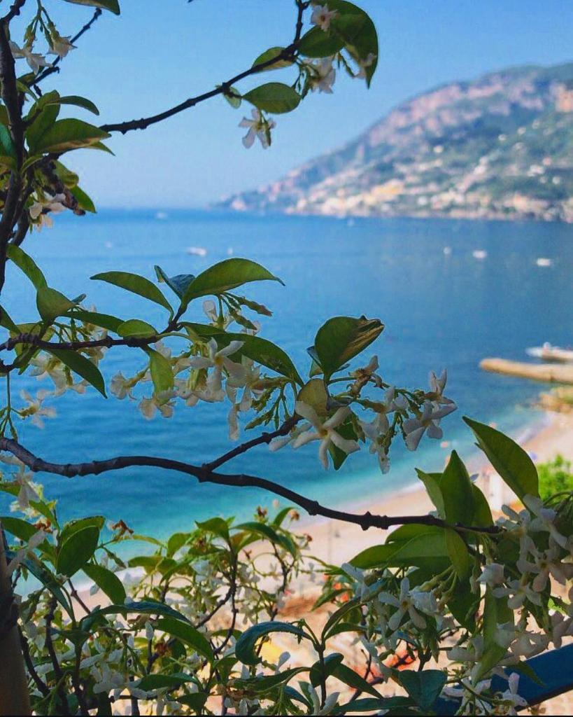 une vue sur une étendue d'eau depuis un arbre dans l'établissement Hotel Sole, à Maiori