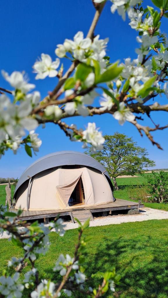 une tente dans un champ avec un arbre en fleurs dans l'établissement A l'aube des sens, à Bailly-le-Franc