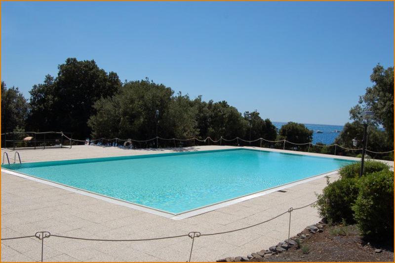 une grande piscine bleue avec des arbres et de l'eau dans l'établissement illicini stabilimento balneare e albergo, à Maratea