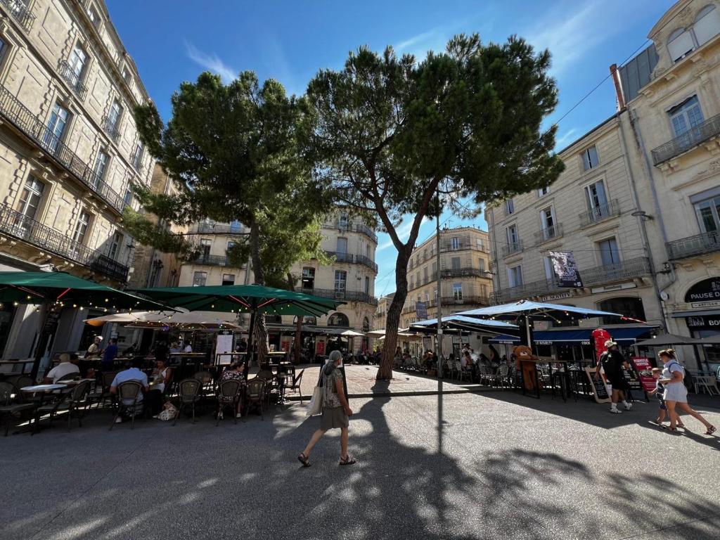 Appartement Hypercentre Montpellier 6