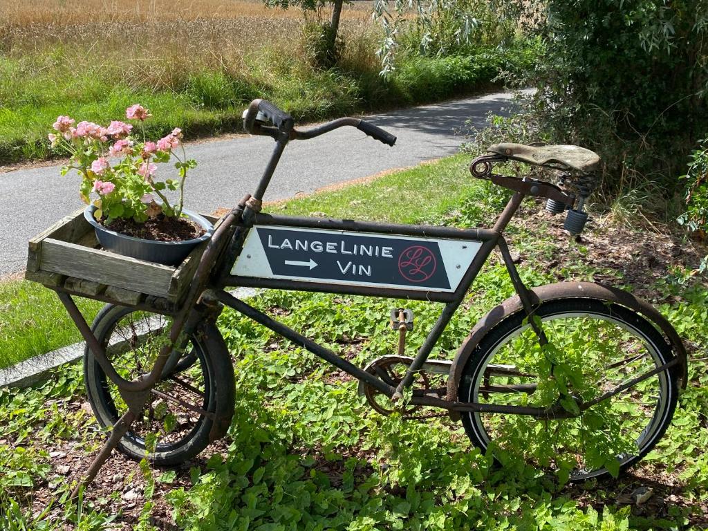 Langelinie Vin - Countryside 1