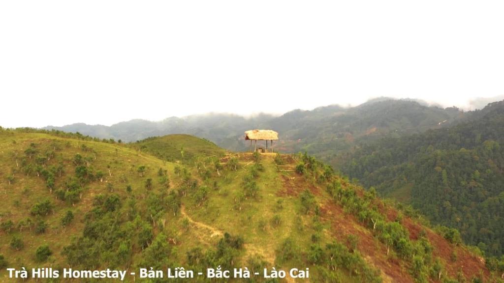 Trà Hills 11 Homestay