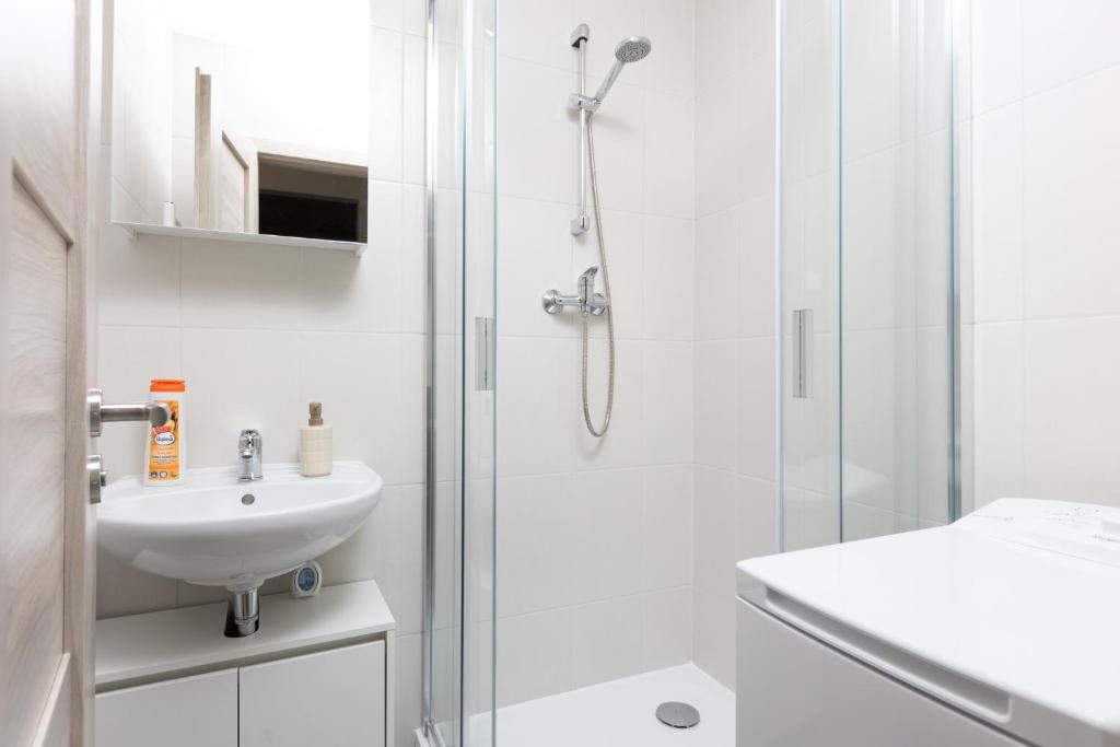Apartment with 2 bedrooms with kitchen near metro 3