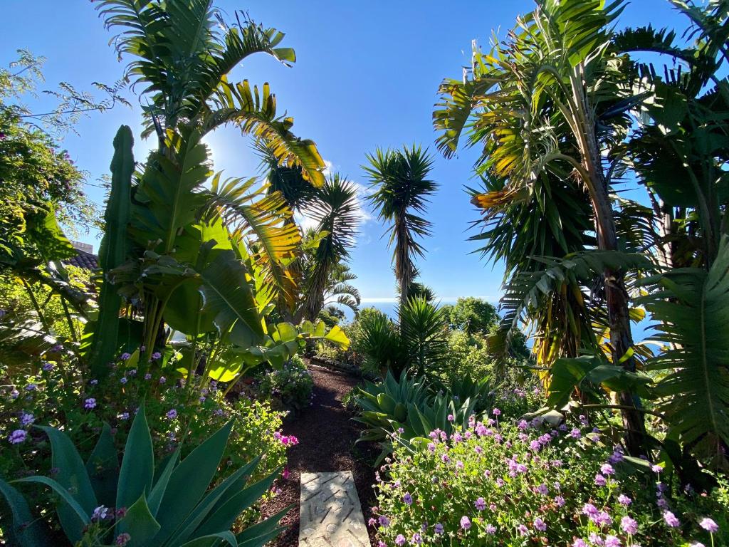Finca Tenerife - Traumblick, tropischer Garten, viel Platz & Ruhe 3