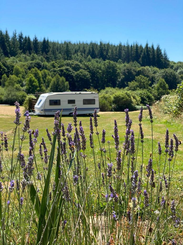 Photo de la galerie de l'établissement Natuurcamping Guillerin, à Sornac