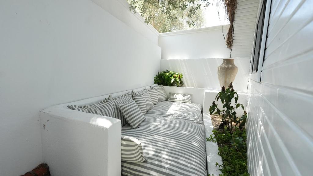 Zai Jardin 7