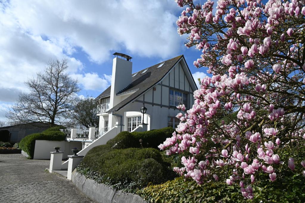 De Boter Villa 7