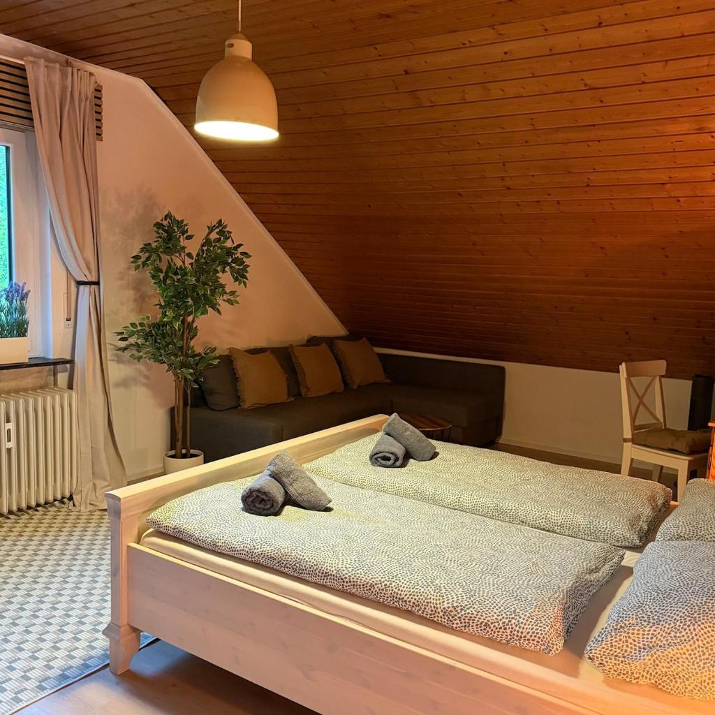 Holziges Dachgeschoss-Apartment 2