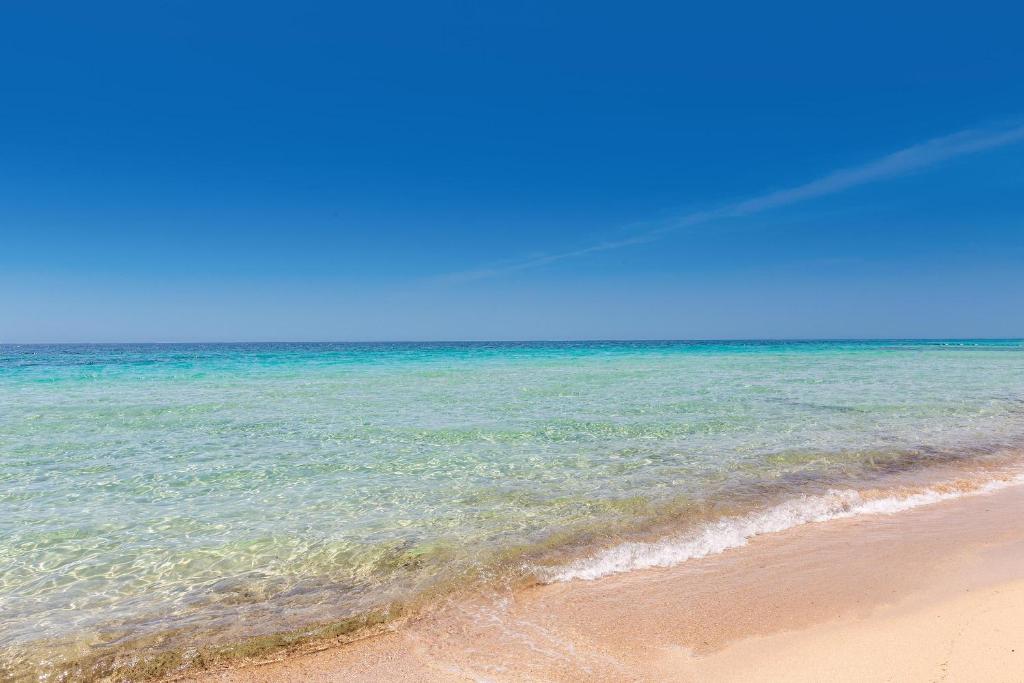 - une vue sur la plage et l'océan dans l'établissement Villa Il Suono del Mare by BarbarHouse, à San Pietro in Bevagna 1 autre photo