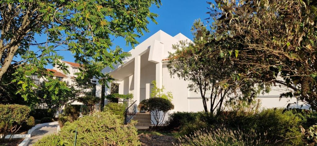 Villa Papa João XXIII 6