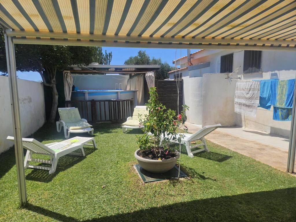 un patio avec deux chaises et une plante en pot dans l'établissement Villa Marzamemi Beach, à Marzamemi