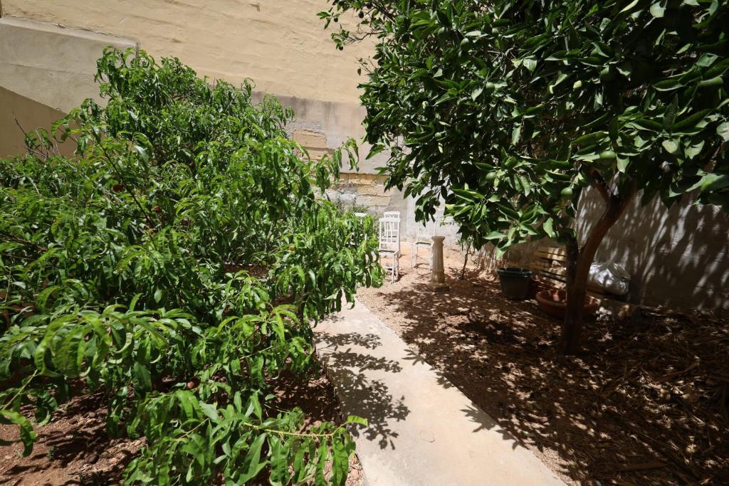 Traditional Maltese Townhouse with Backyard Garden and Seafront Location 6