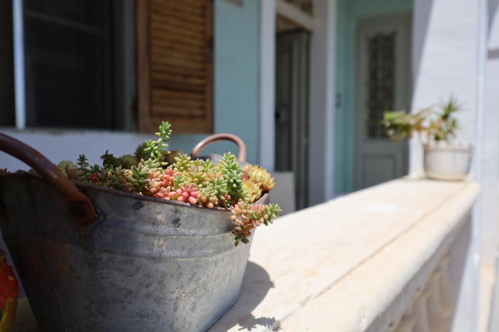 Traditional Maltese Townhouse with Backyard Garden and Seafront Location 5