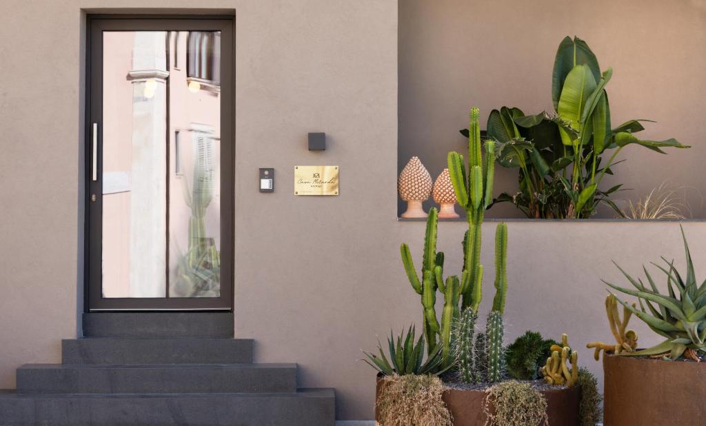un escalier avec des cactus et des plantes devant une porte dans l'établissement Casa Miranda Boutique, à Syracuse