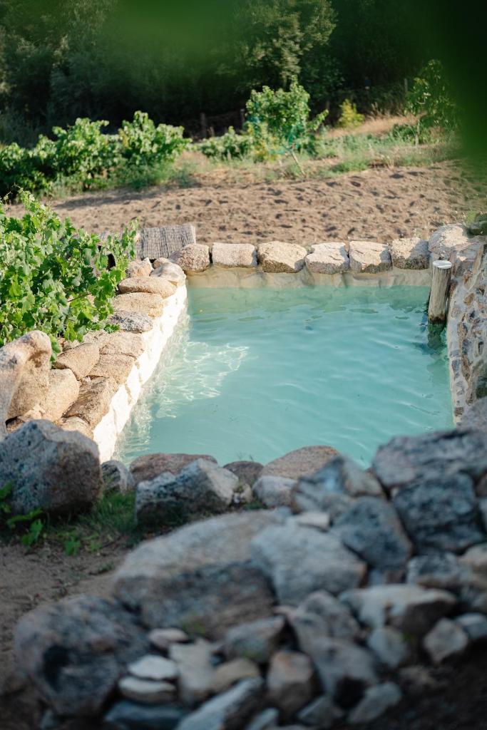une piscine d'eau bleue dans un mur en pierre dans l'établissement A Malgrana - Tente lodge hébergement insolite, à Coti-Chiavari