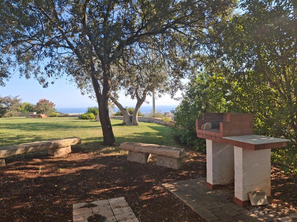 une table de pique-nique et des bancs dans un parc dans l'établissement Panoramic trulli with swimming pool in Monopoli, à Monopoli