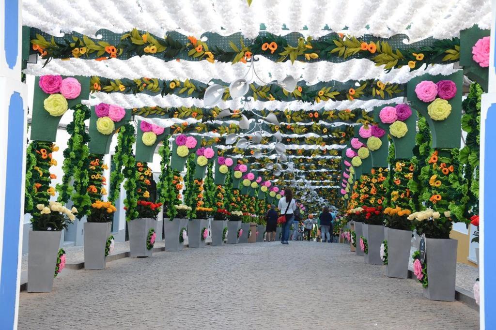 Alojamento Campo Maior 6