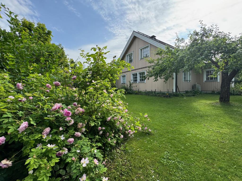 Villa Old Appletree 1