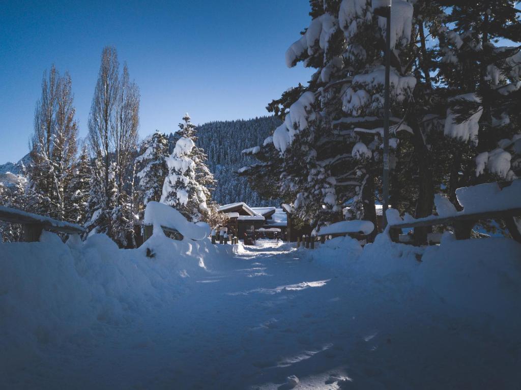 une forêt enneigée avec des arbres et une maison dans l'établissement Le Loup Blanc, à Pra-Loup