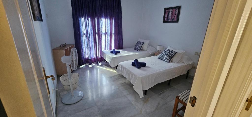 Piso Tamaragua 2