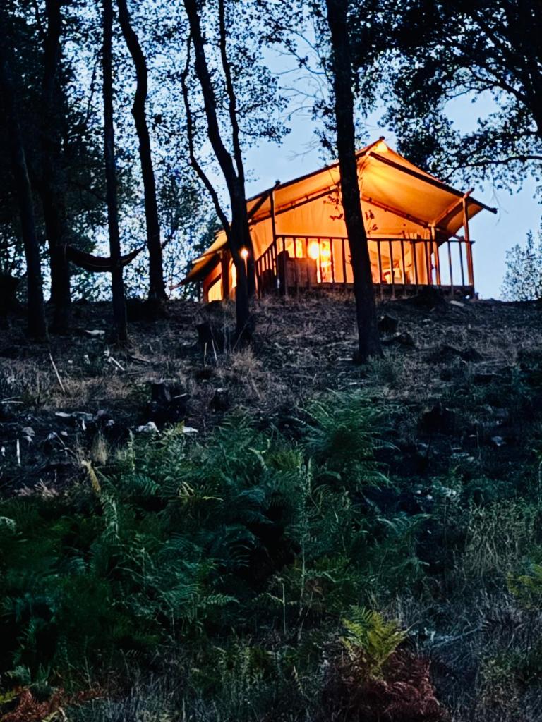 Photo de la galerie de l'établissement Lodge A NASSA, à Olivese