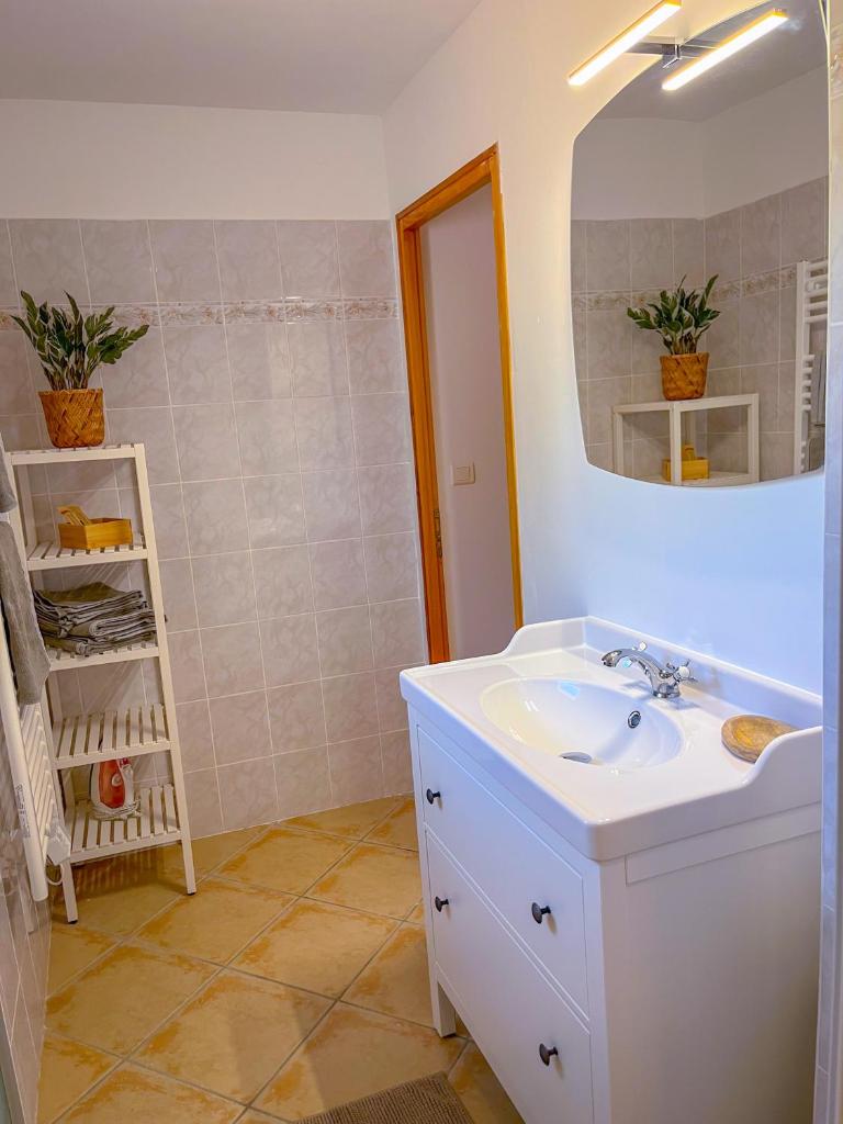 Petite maison indépendante au calme au cœur des oliviers 3