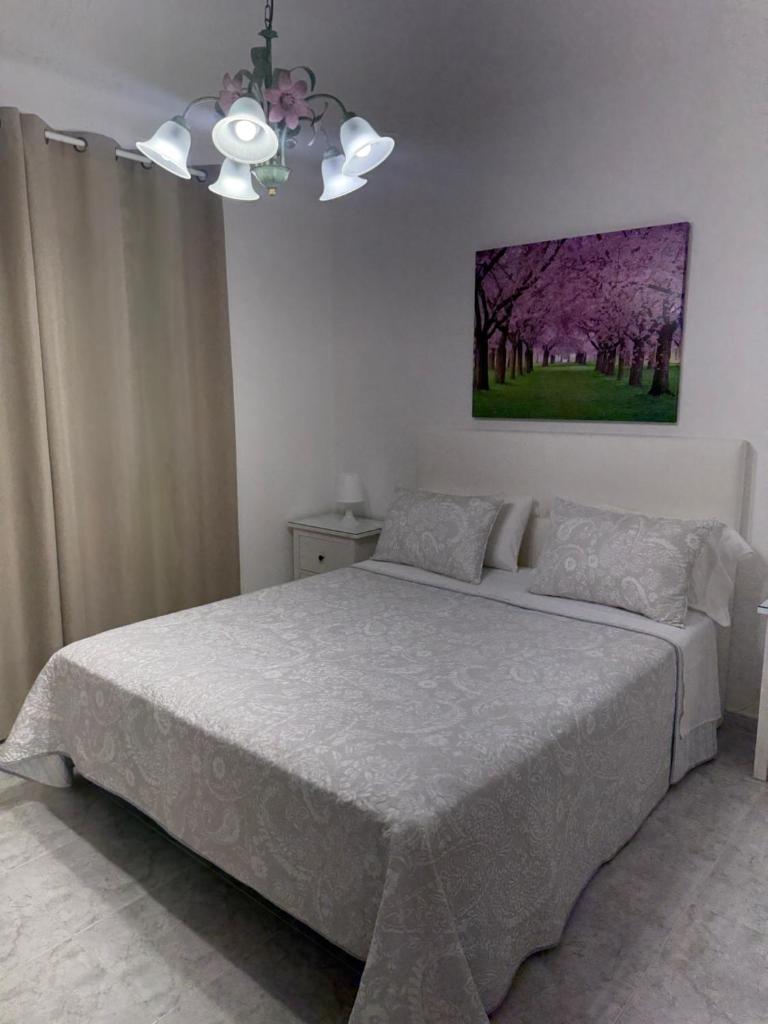 Casa Daniela 8