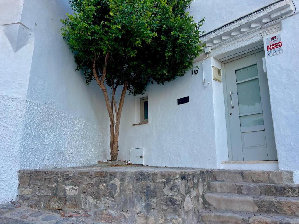 Casa 16 1