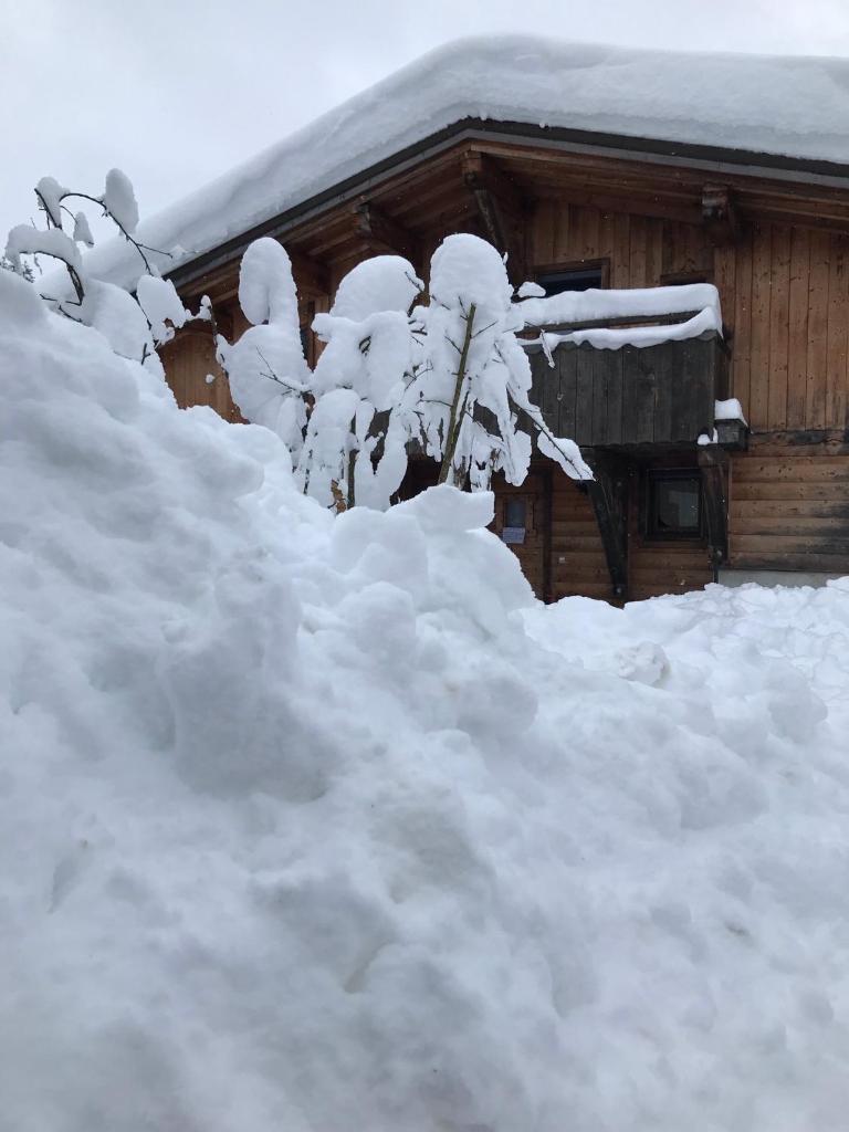 Chalet Du Pont D Arbon