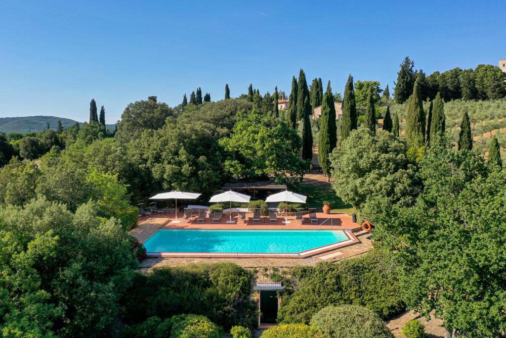 - une vue sur la piscine bordée de parasols et d'arbres dans l'établissement Casa Oliveta, villa with private pool, à Aiola