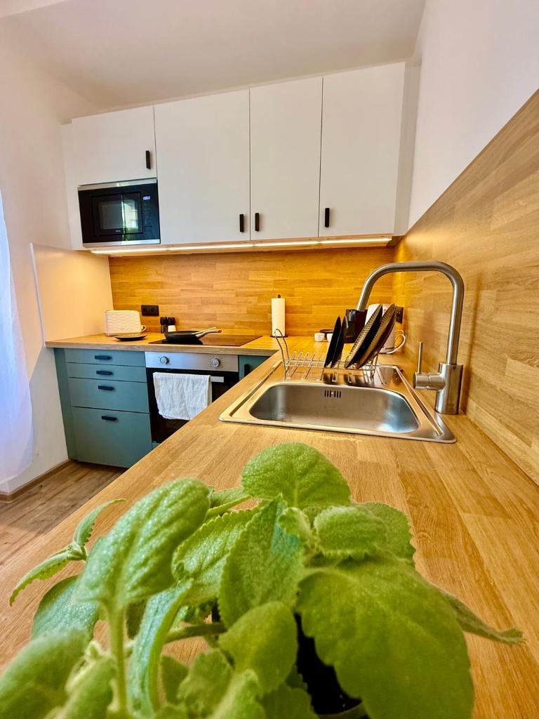 Ravine Apartments - Parking 4
