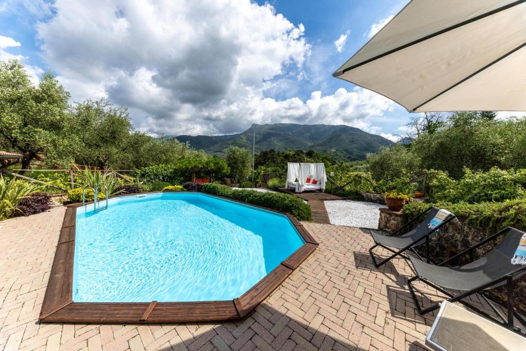 une piscine dans une cour arrière avec une chaise et un parasol dans l'établissement Villa Daniela, à Camaiore